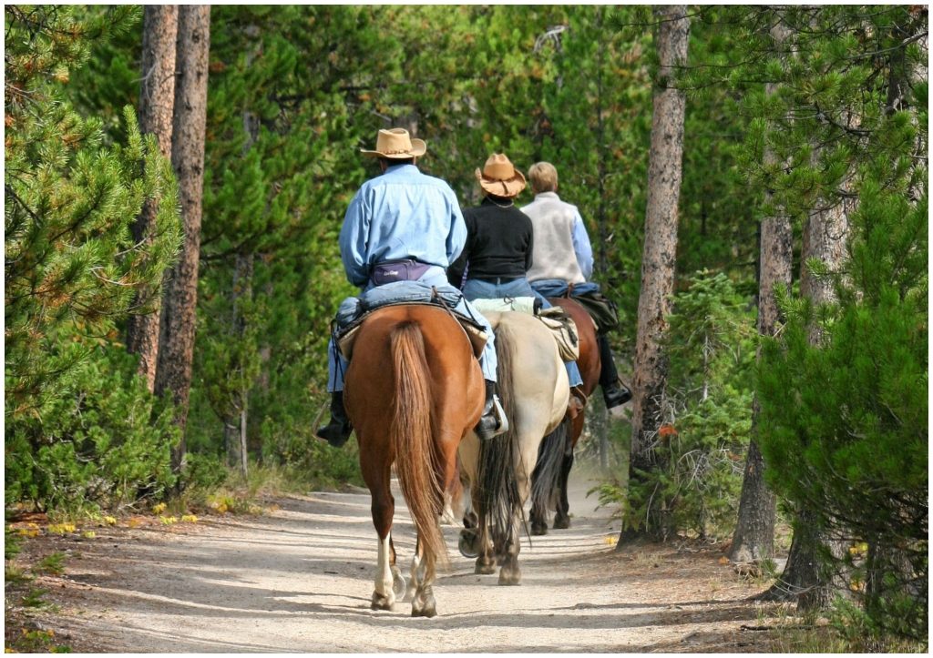01 - Grand teton NP (06).jpg